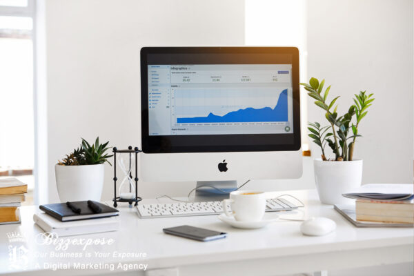 Accountant Website
